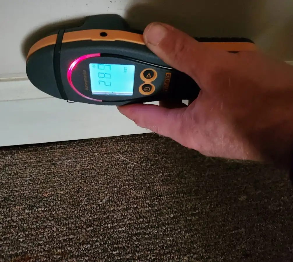 Moisture detection at baseboard during Mold Inspection & Testing in Piedmont